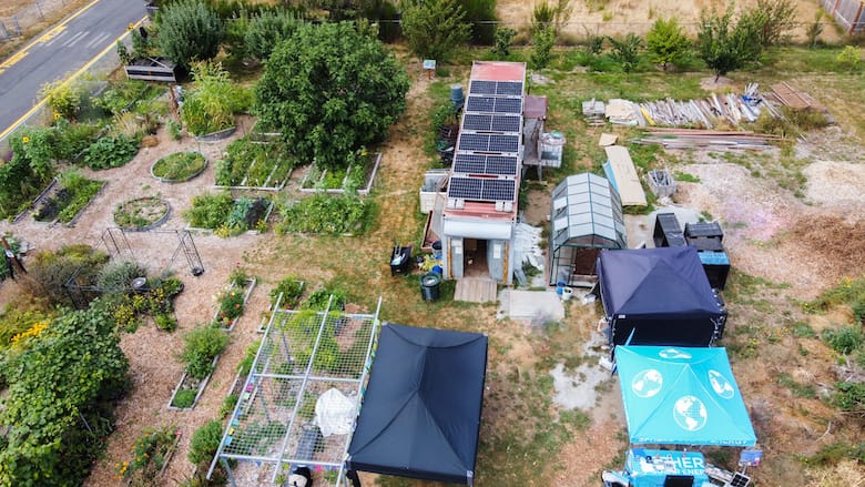 Shark Garden Goes Solar